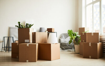 Nowe zmiany w prawie deweloperskim – co warto wiedzieć